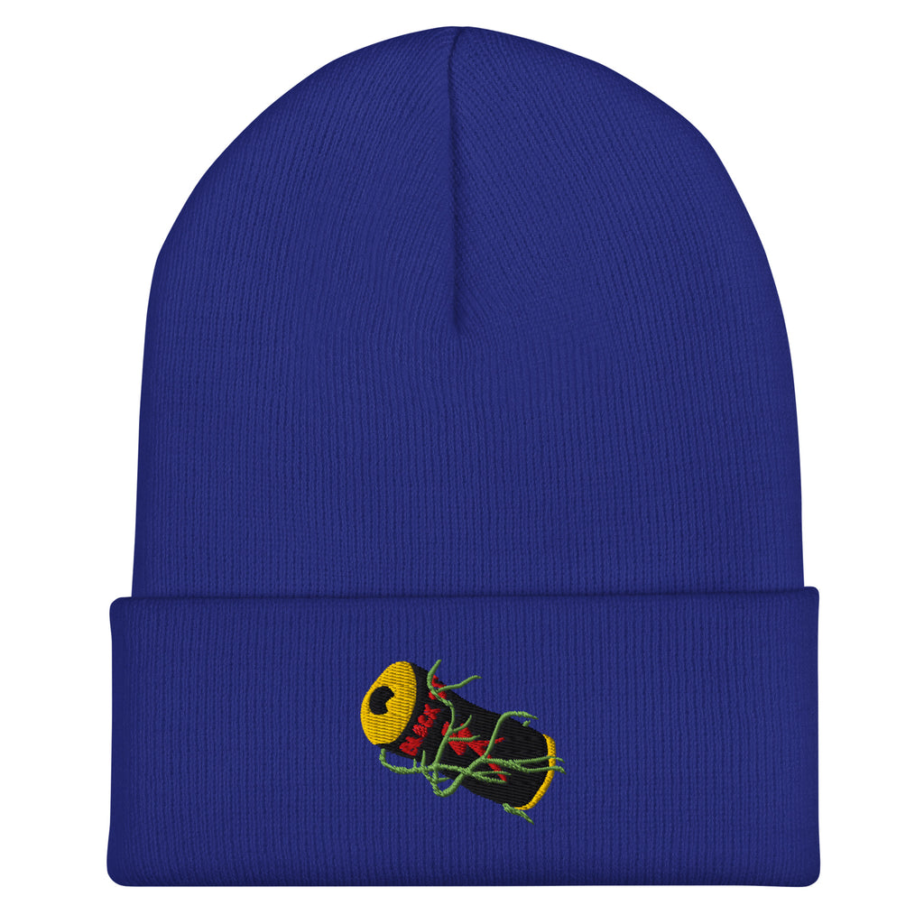 Cuffed beanie