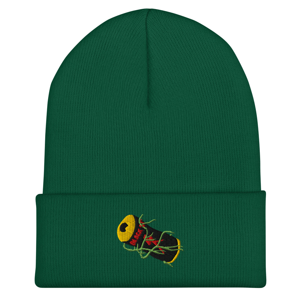 Cuffed beanie