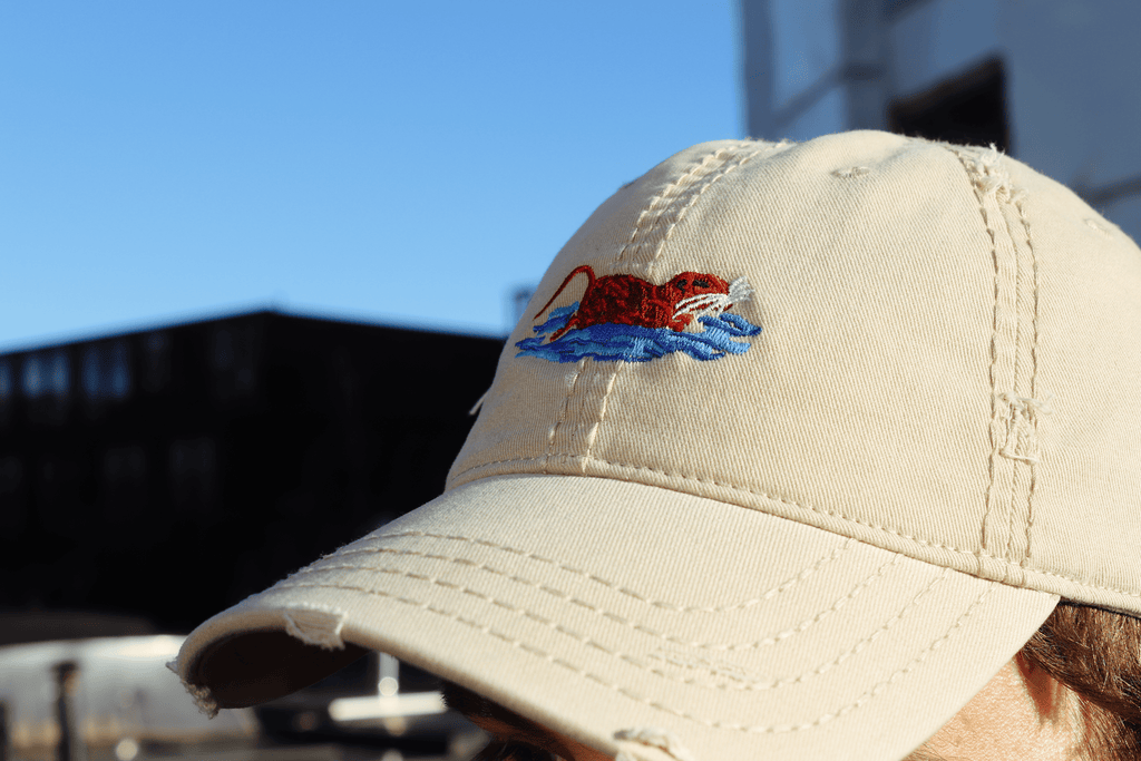 The Dad Cap